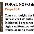 Foral Novo copy.jpg